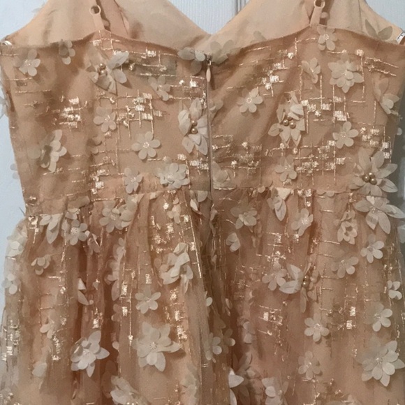 Lulus Feeling Flirty Floral Mini Skater Dress in Blush Pink - Picture 12 of 13